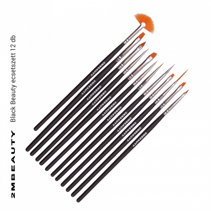 Set pennelli Black Beauty: contiene 12 pennelli per nail art ...